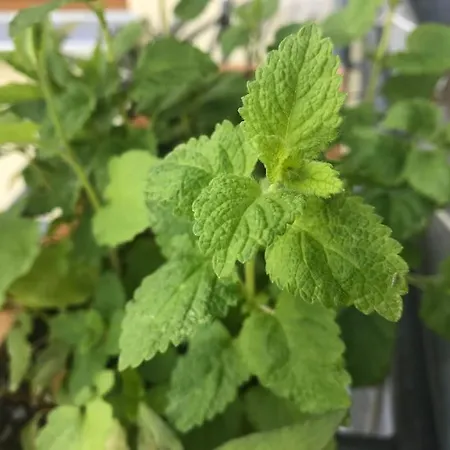 Gemuetliche Private In Lejlighed